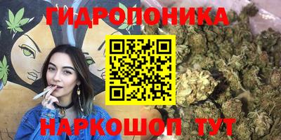 MESCALINE Новодвинск