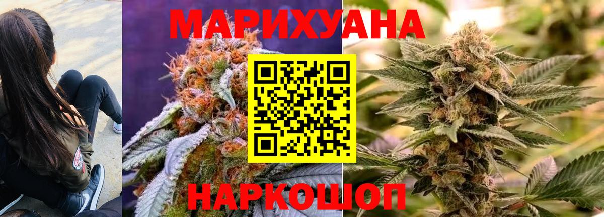 Каннабис White Widow  Бошки Шишки SATIVA & INDICA  Ульяновск  Вход с VPN  Марихуана марихуана 